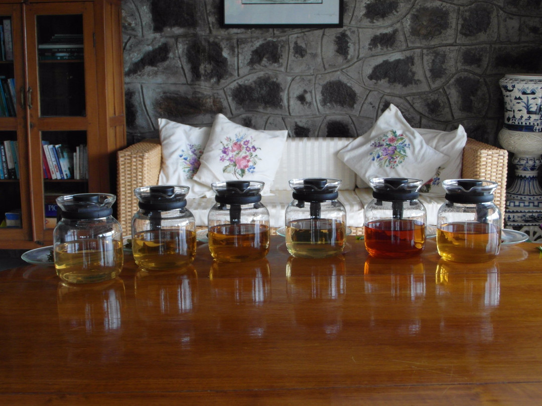 Tranquilitea Gourmet Nilgiri Teas景点图片