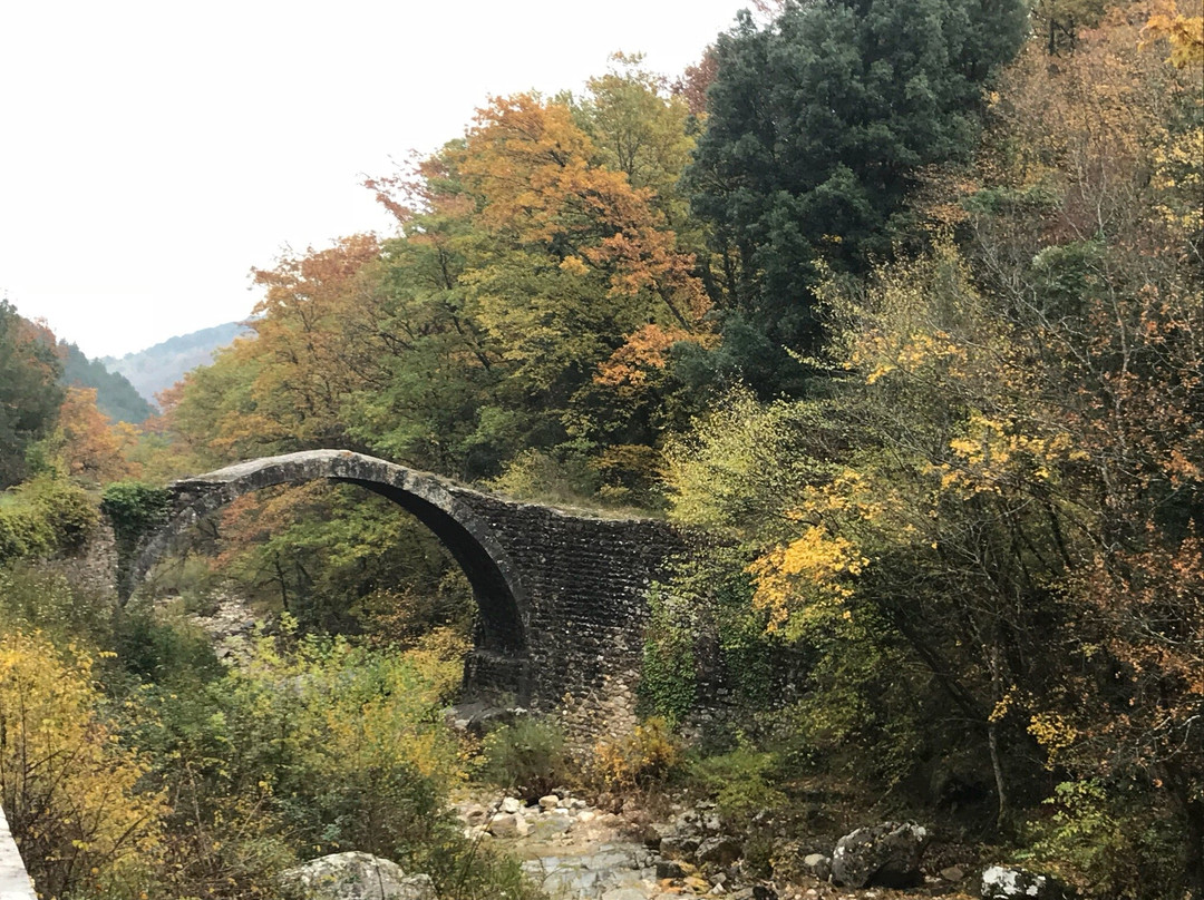 Ponte Della Pia景点图片