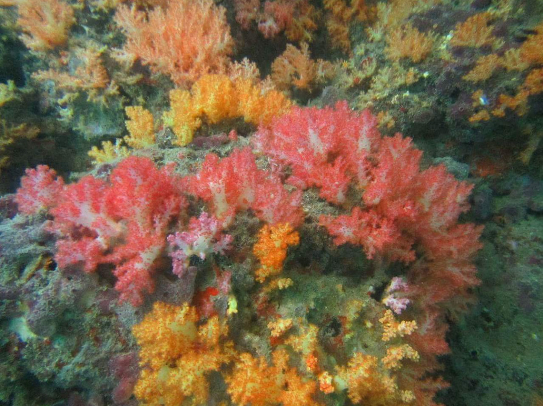 St. Luke Snorkeling Day Trip