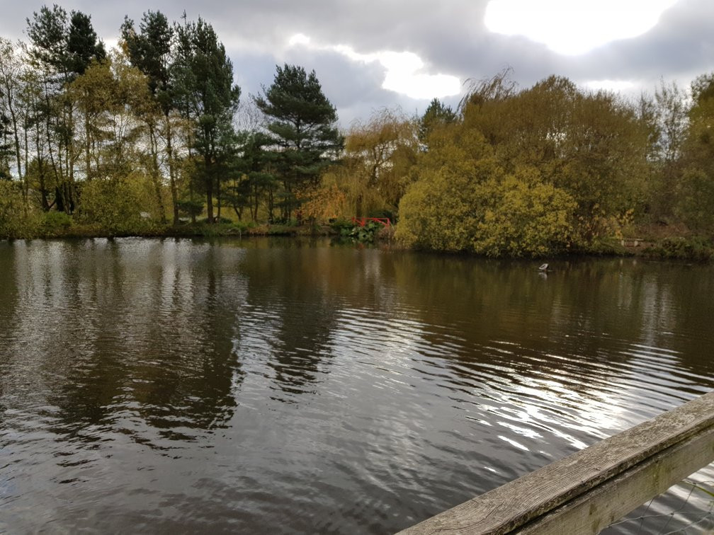 Bourne Pool and Waterside Walk景点图片