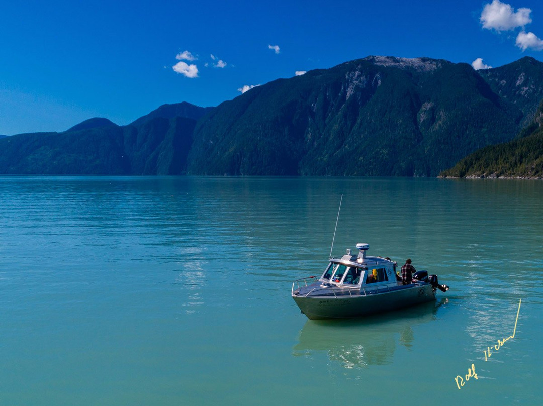 Vancouver Island Photo Tours景点图片