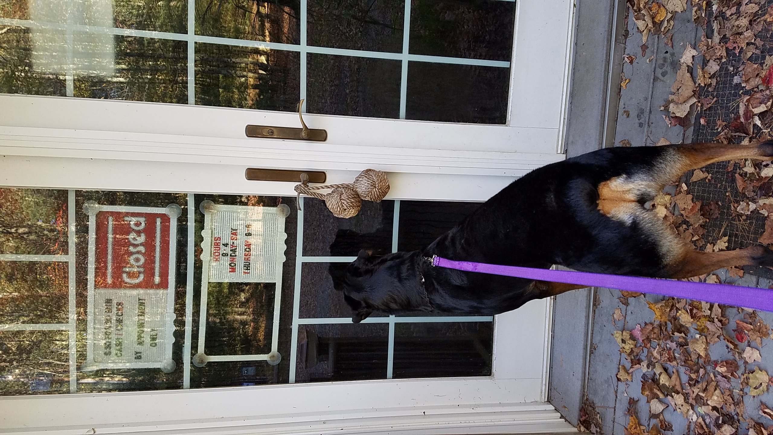 The Inn at Restful Paws-官方