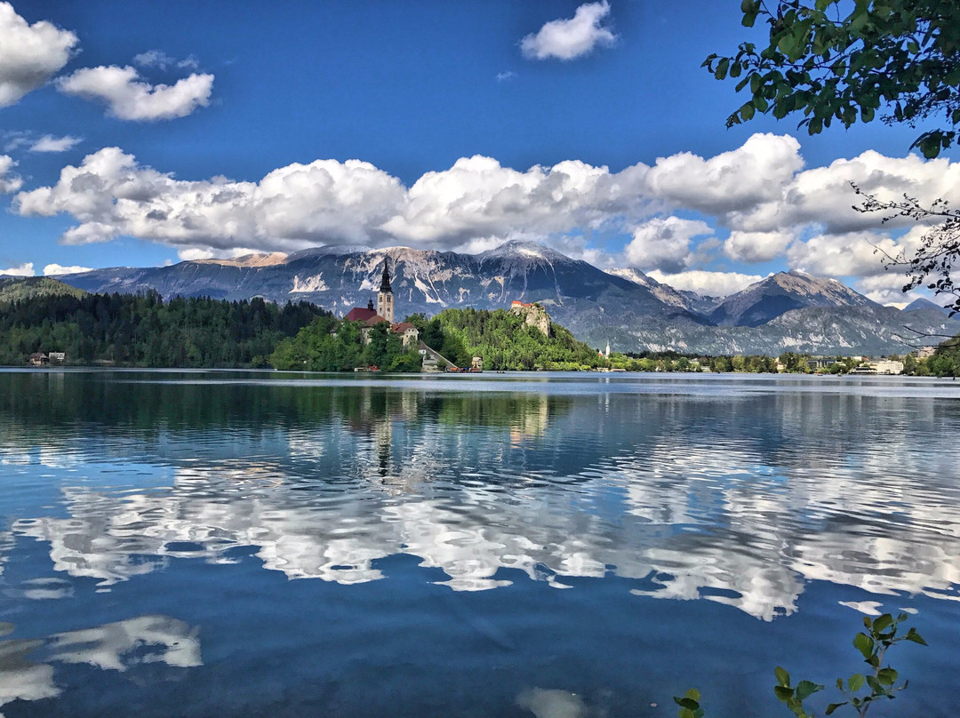 Bled Taxi Transfer-布莱德必去景点