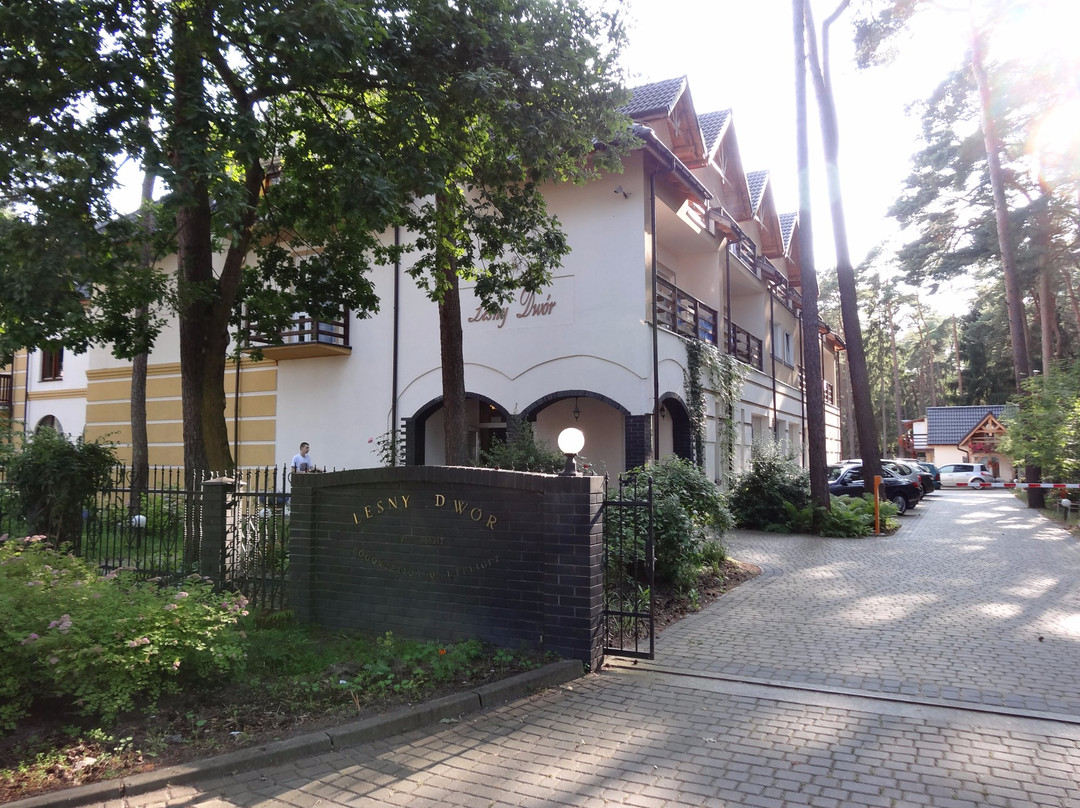 Lesny Dwor Pogorzelica主图