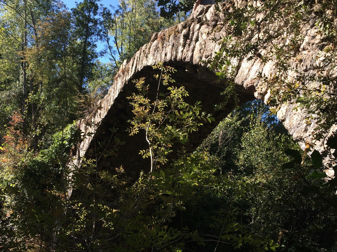 Pont génois de Zipitoli-Bastelica必去景点