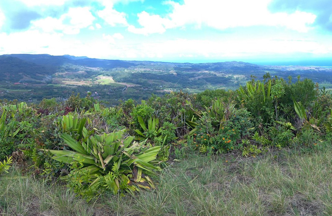 Piton Canot