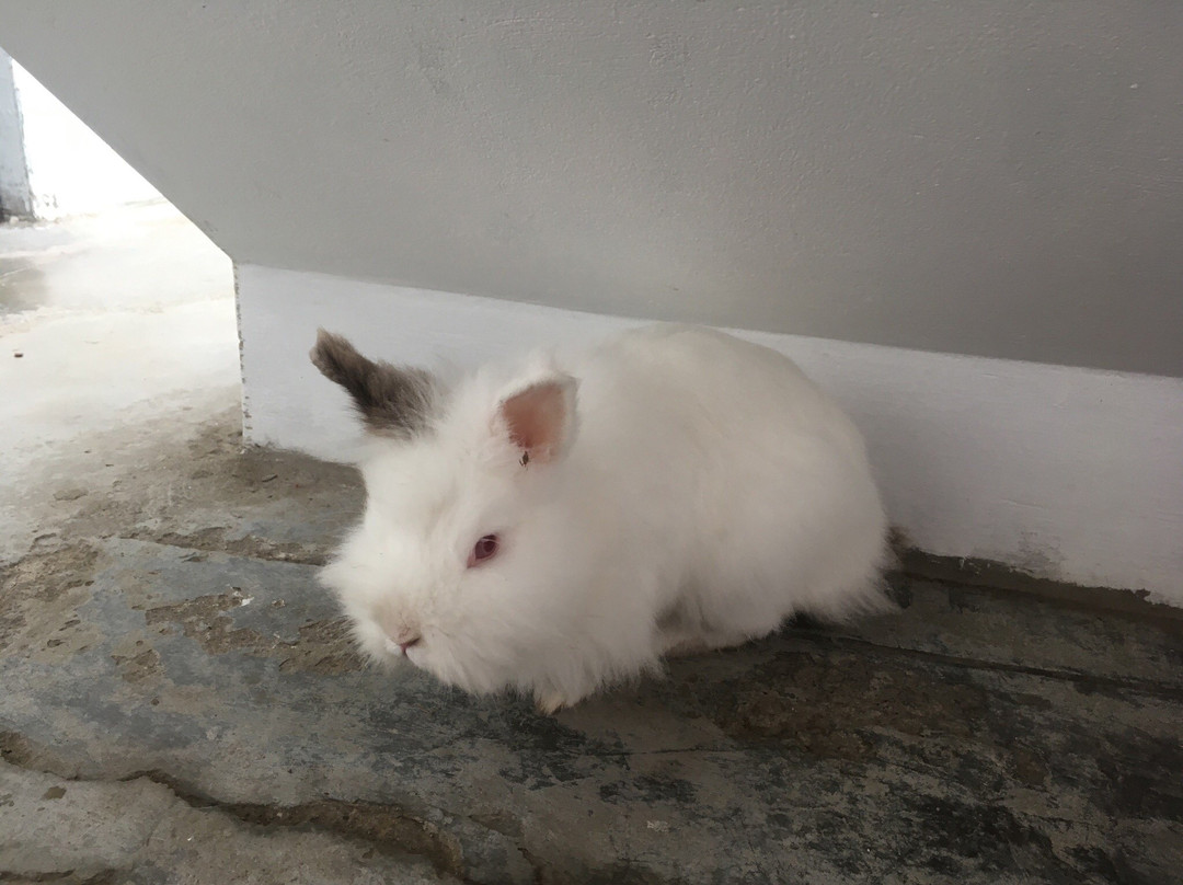 Atma Yoga Huanchaco-Huanchaco必去景点