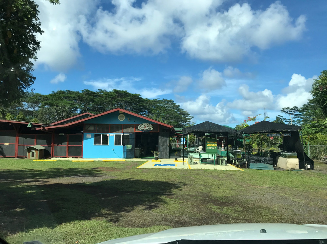 夏威夷爱好花园-夏威夷大岛必去景点