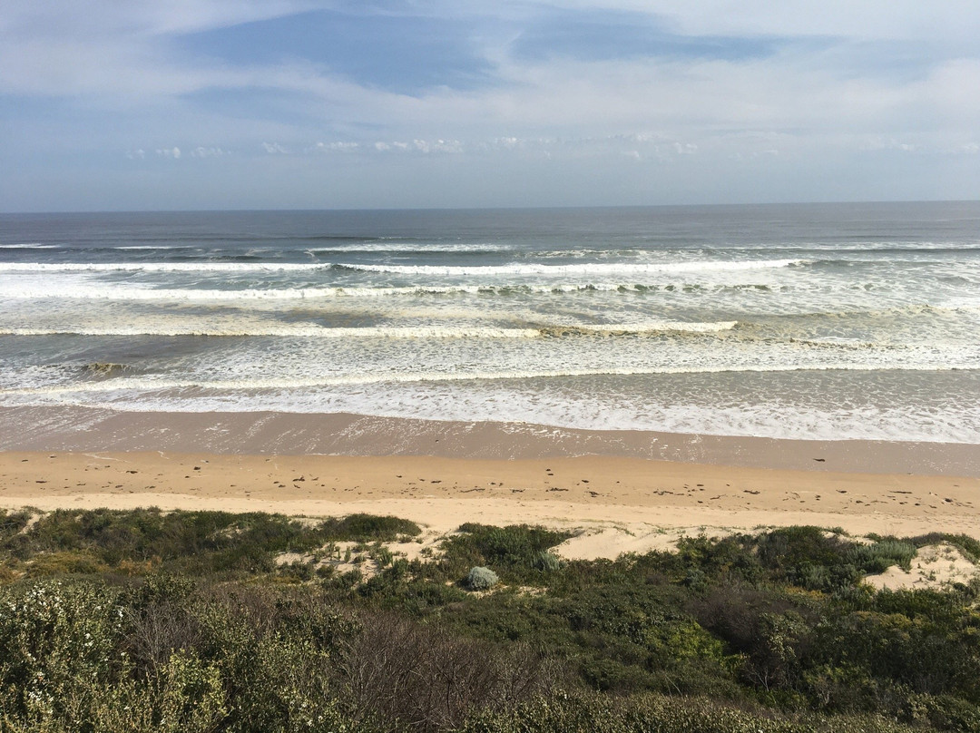 No 5 Beach-Venus Bay必去景点
