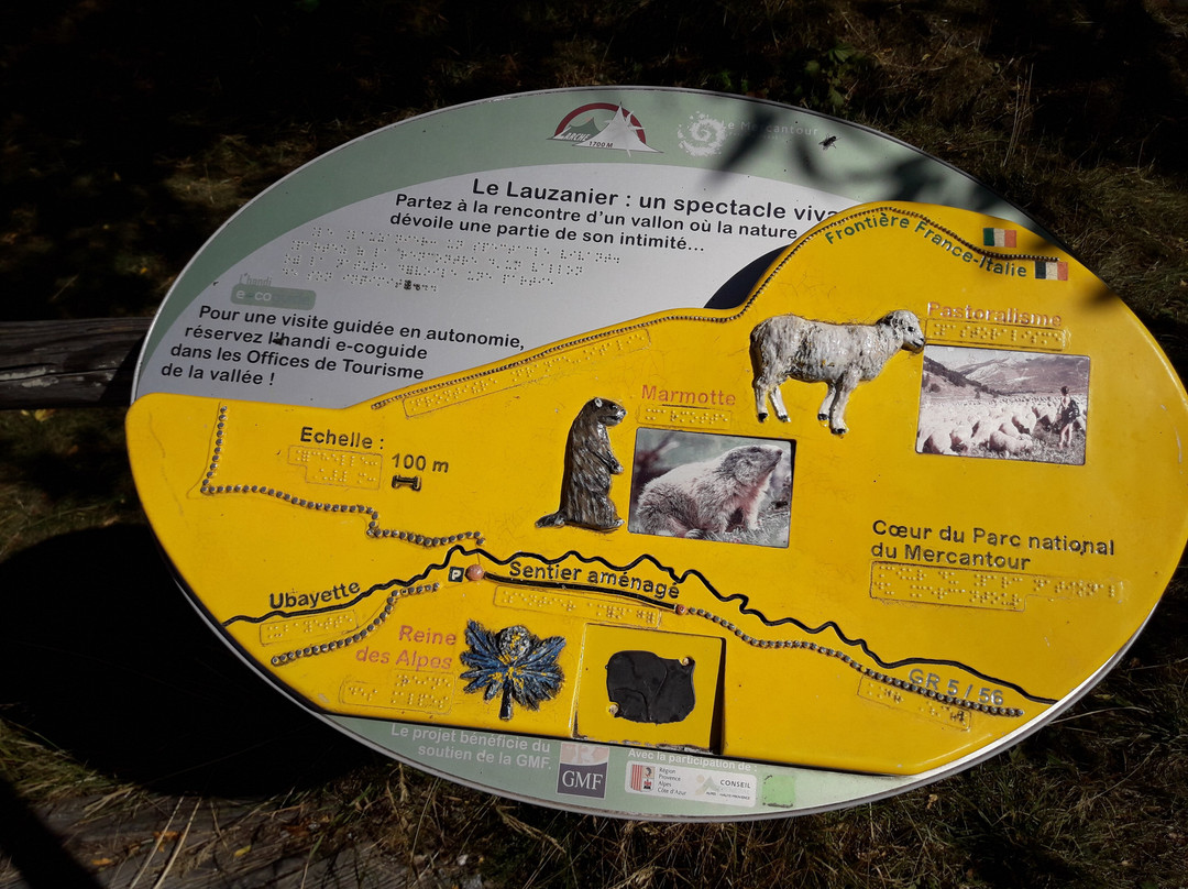 Lac du Lauzanier景点图片