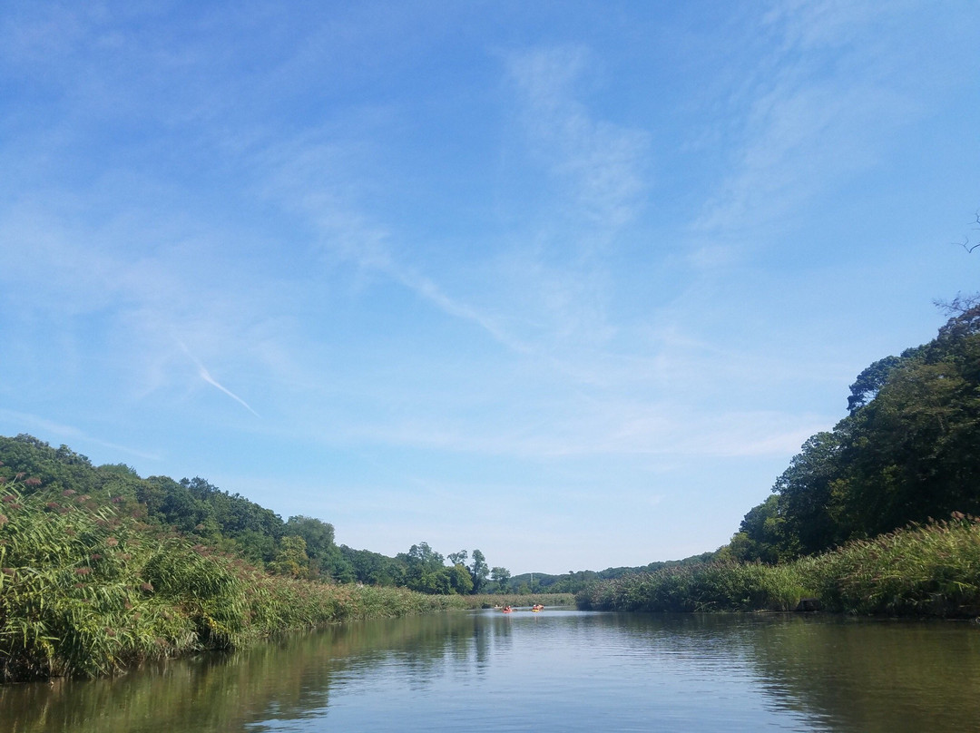 Nissequogue River Canoe & Kayak Rentals inc-Smithtown必去景点