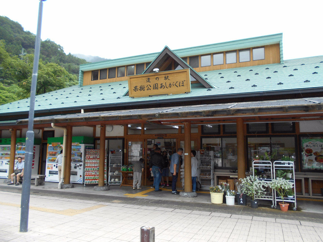 Michi-no-Eki Kaju Park Ashigakubo-横濑町必去景点