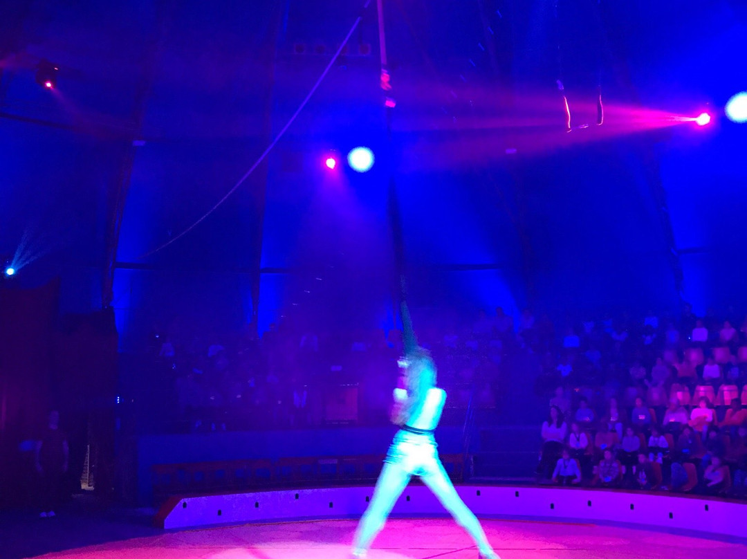 Une Journee au Cirque-Villeneuve-la-Garenne必去景点