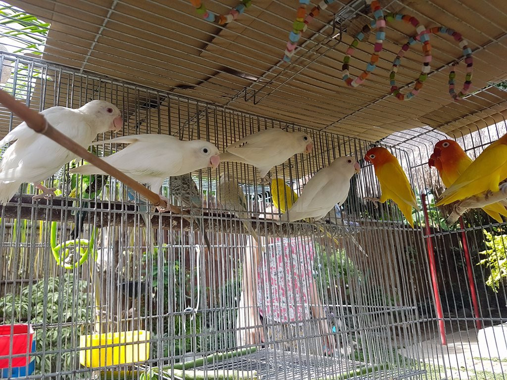 The Bamboo Orange Guesthouse主图