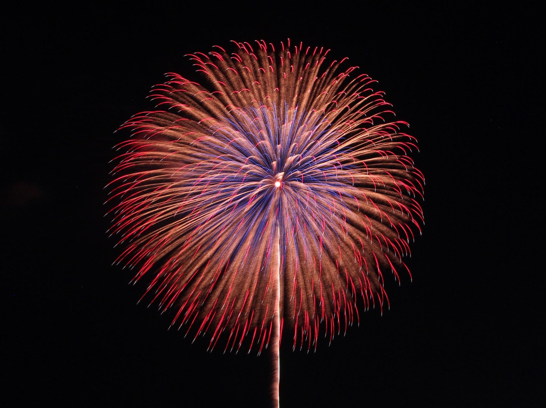 Koga Fireworks-古河市必去景点