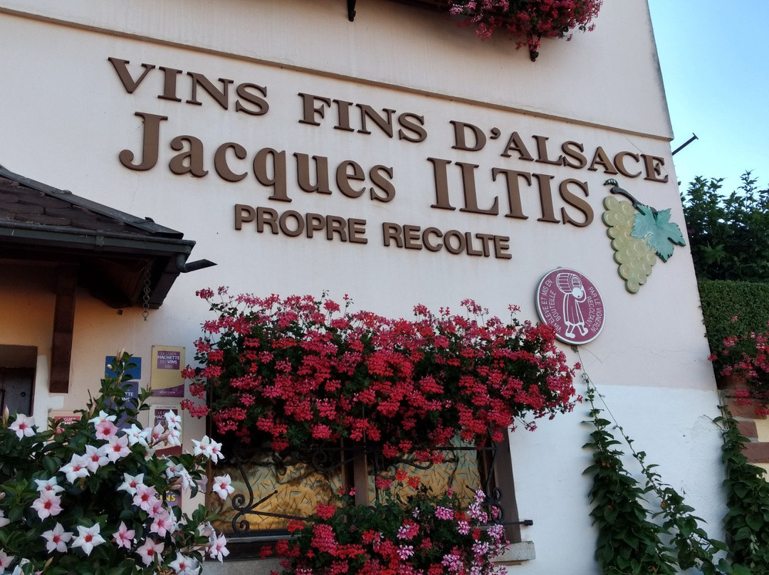 Domaine Jacques Iltis & Fils景点图片