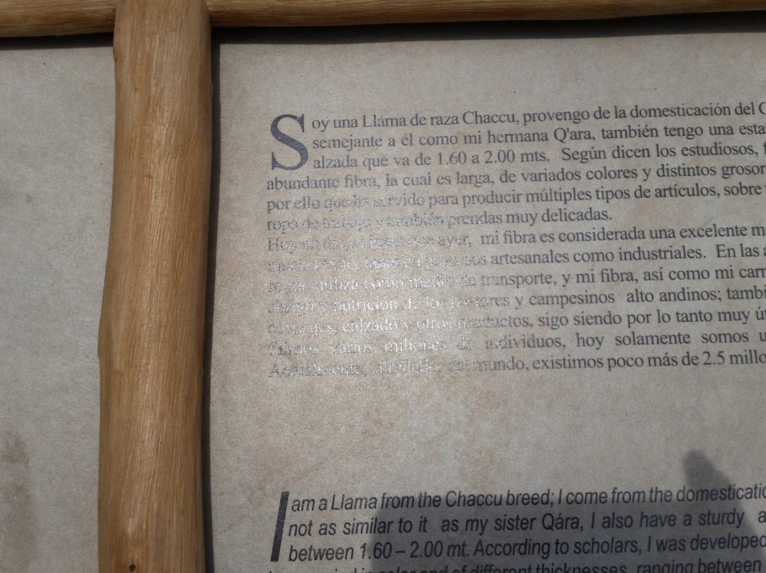 Incalpaca-阿雷基帕必去景点