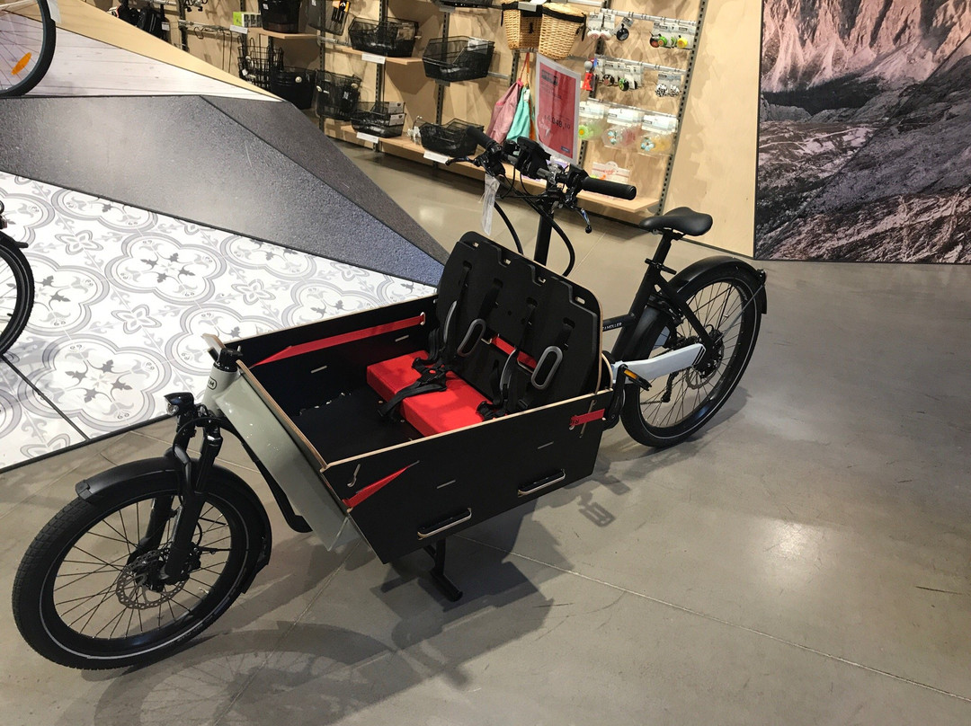 Sportler Climbing Center景点图片
