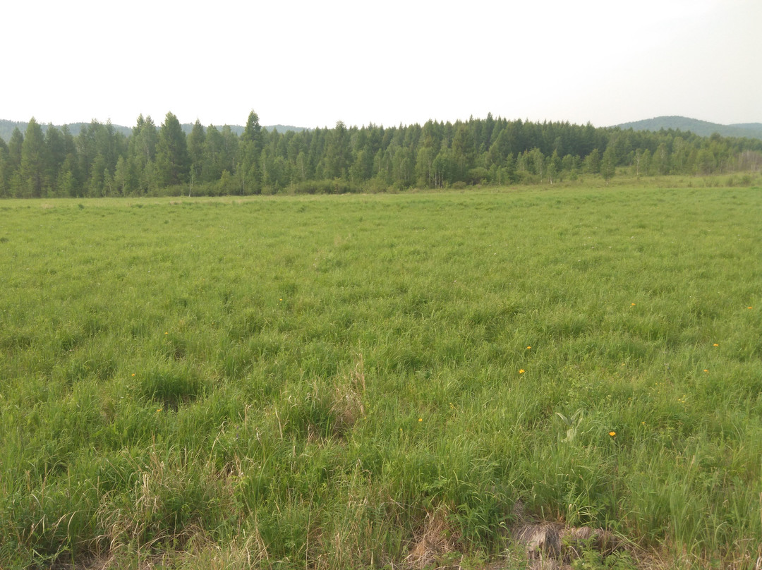 莫尔道嘎国家森林公园-呼伦贝尔市必去景点