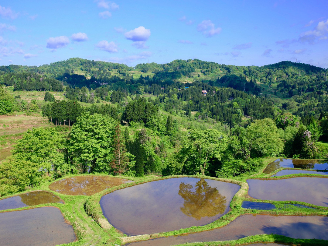 Gimyo Rice Terrace景点图片