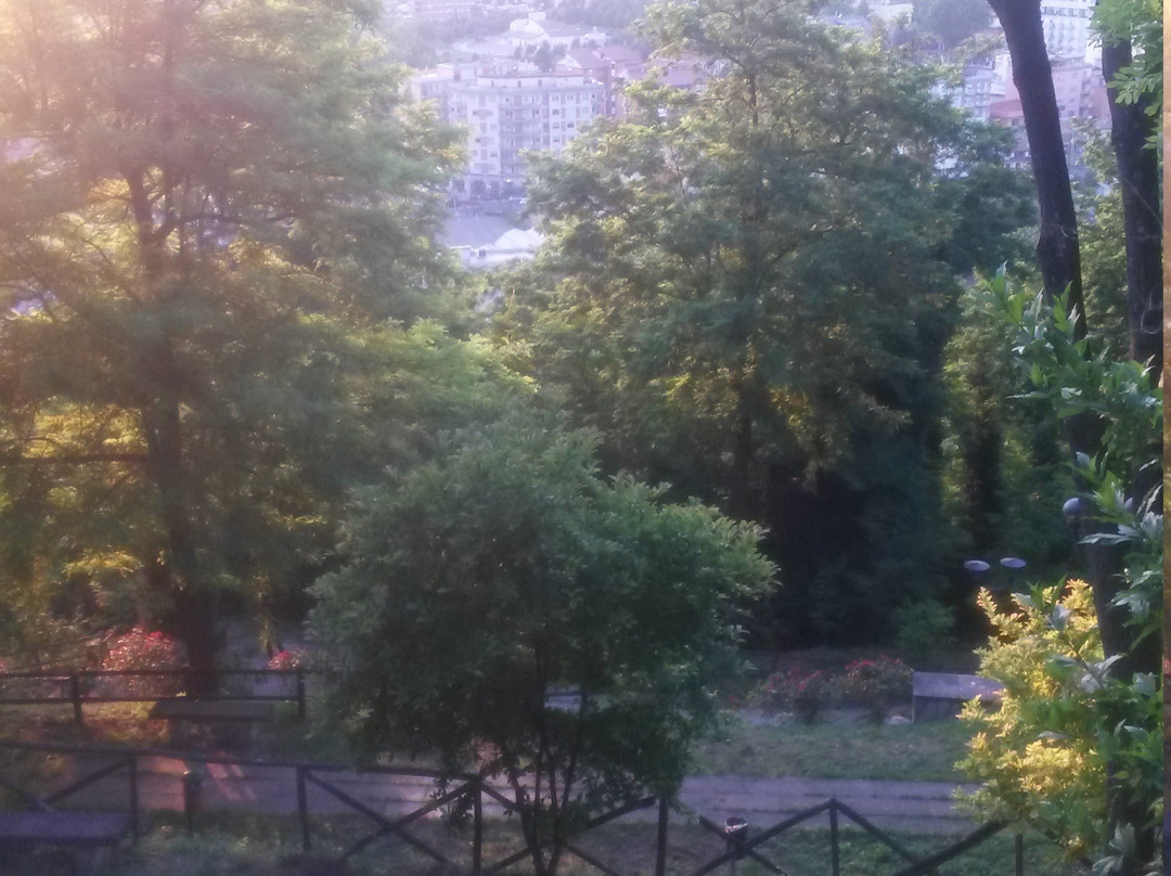 Parco Colline Moreniche di Castiglione景点图片