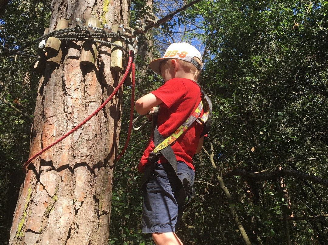 El Bosc Vertical景点图片