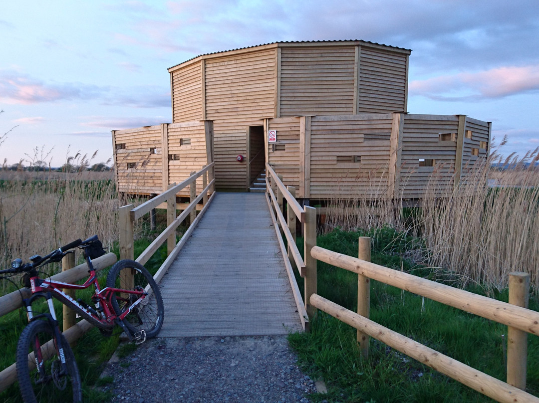 Avalon Marshes Centre景点图片