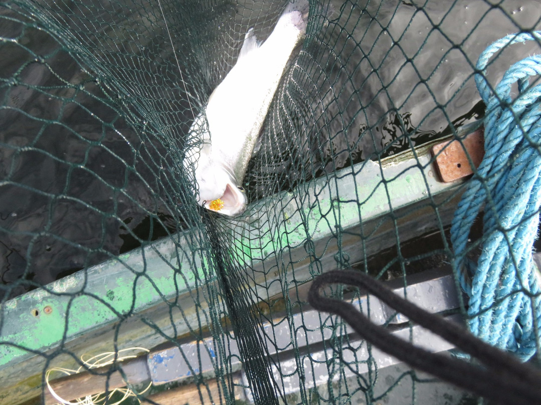 Glensherup Fishery-Glendevon必去景点