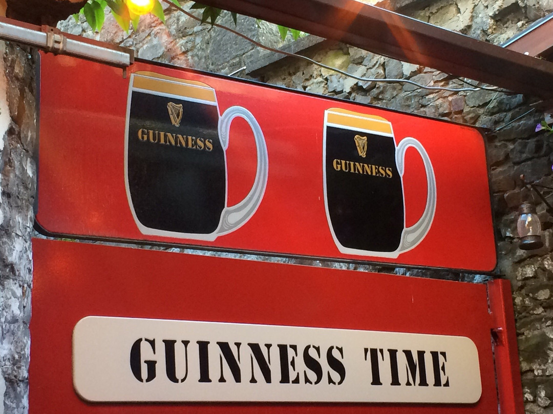 Tom Collins Pub-利默里克必去景点