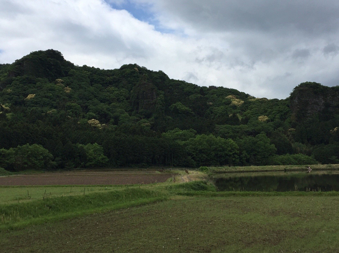 Tashibunosho Kosaki景点图片
