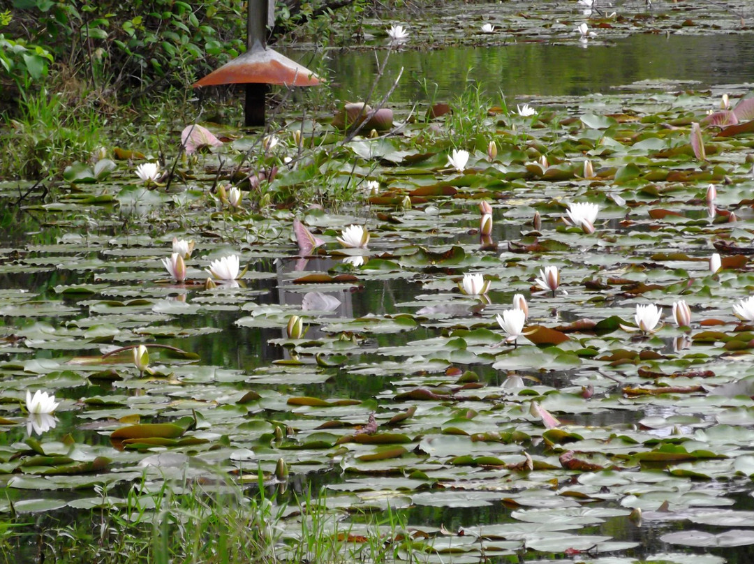 lake Warren State Park景点图片