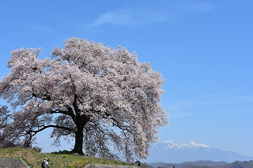 Wanitsuka景点图片