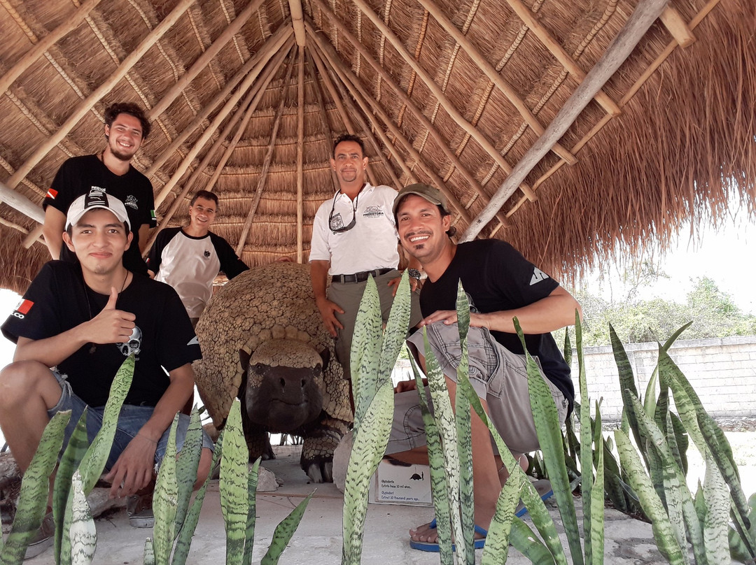 Museo de la Prehistoria Parque Dos Ojos-图伦必去景点