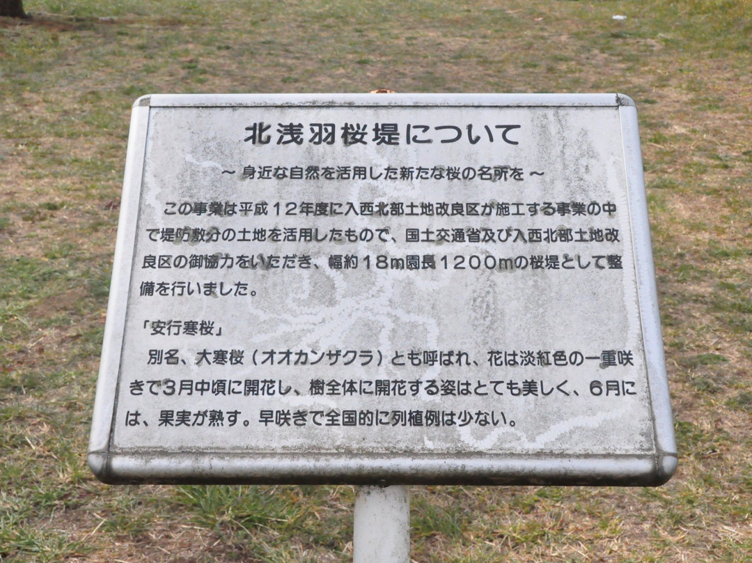 Kitaasaba Sakurazutsumi Park-坂户市必去景点