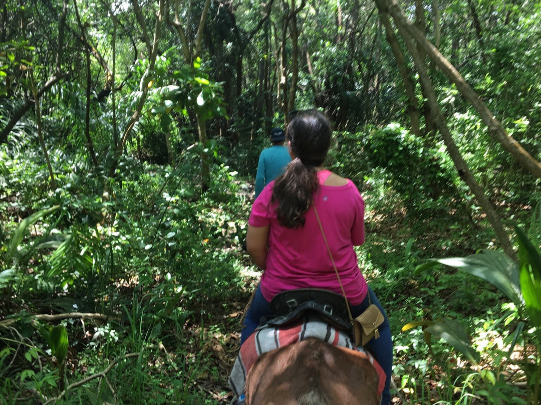 Catch a Dream Ranch-Rio Grande必去景点