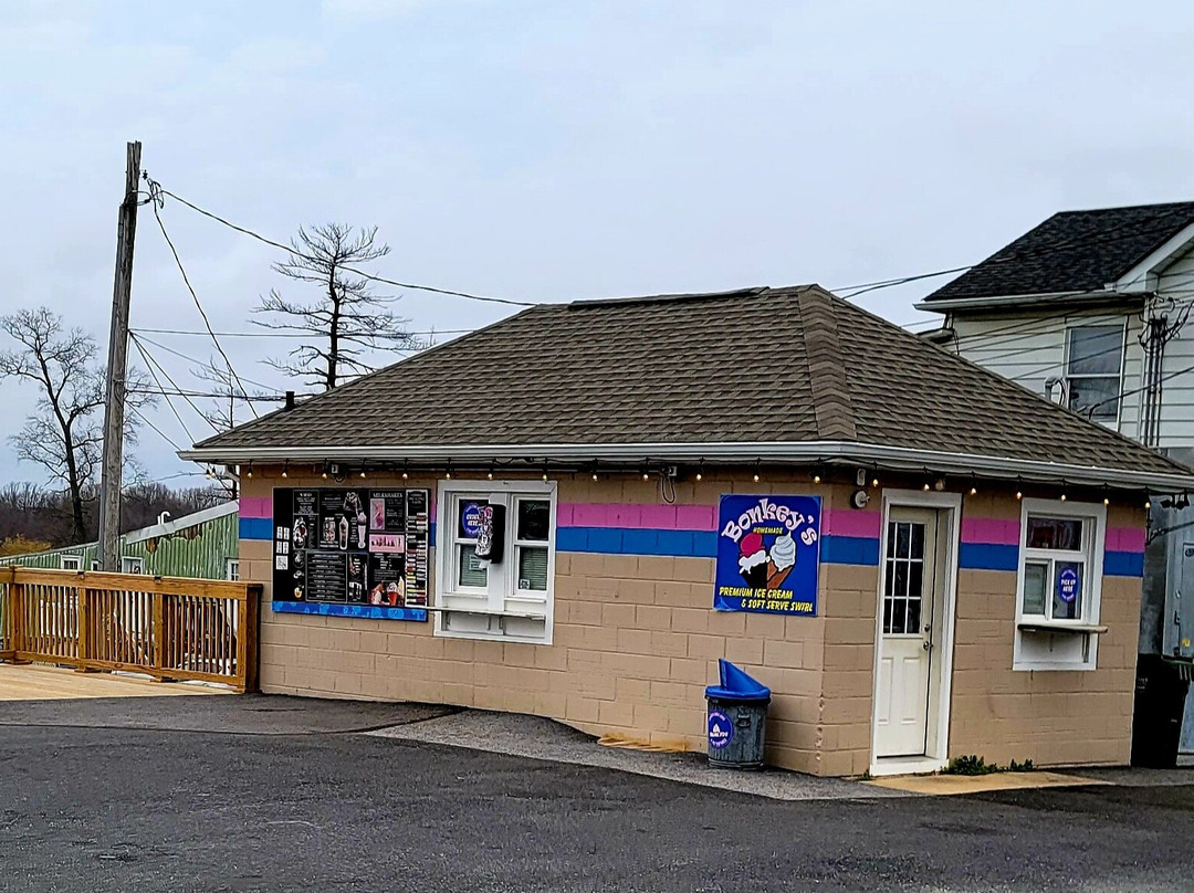 Bonkey's Ice Cream