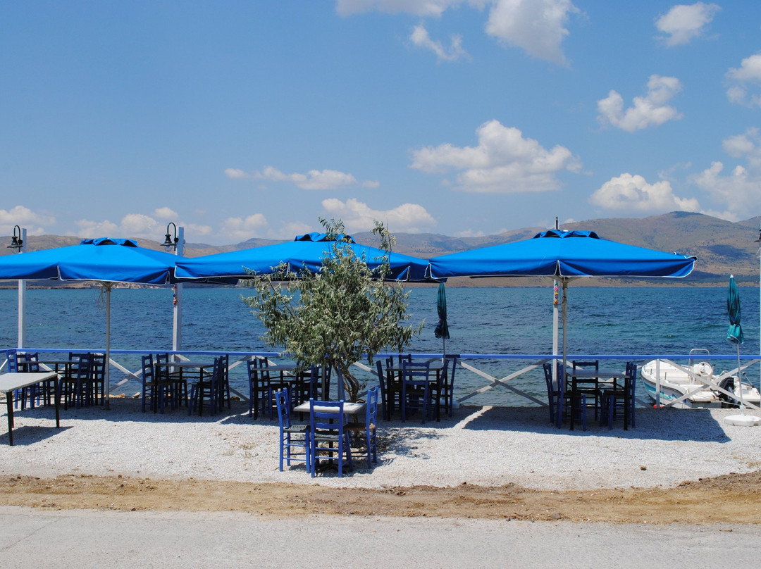 Nifida旅游攻略图片