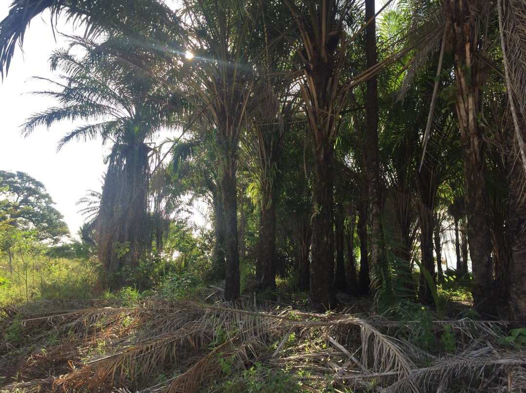 Monte Cristo Beach-Santo Amaro必去景点
