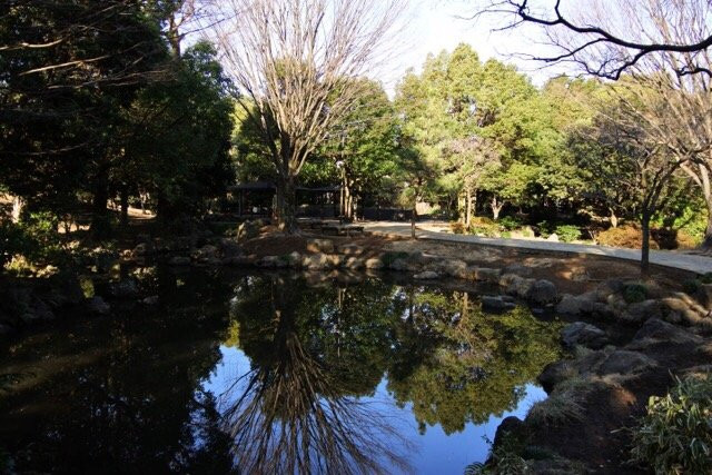 Heiwa no Mori Park-中野区必去景点