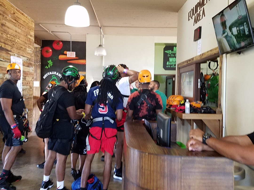 Zipline Tours in Puerto Rico景点图片