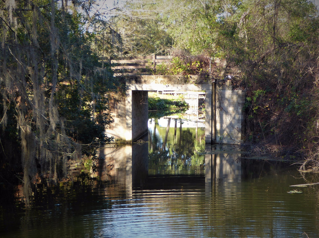 Haynes Creek Preserve景点图片