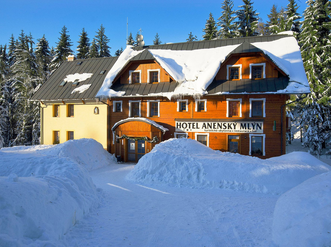 Hotel Anensky Mlyn主图