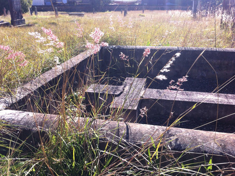 St. John's Cemetery-帕拉马塔必去景点