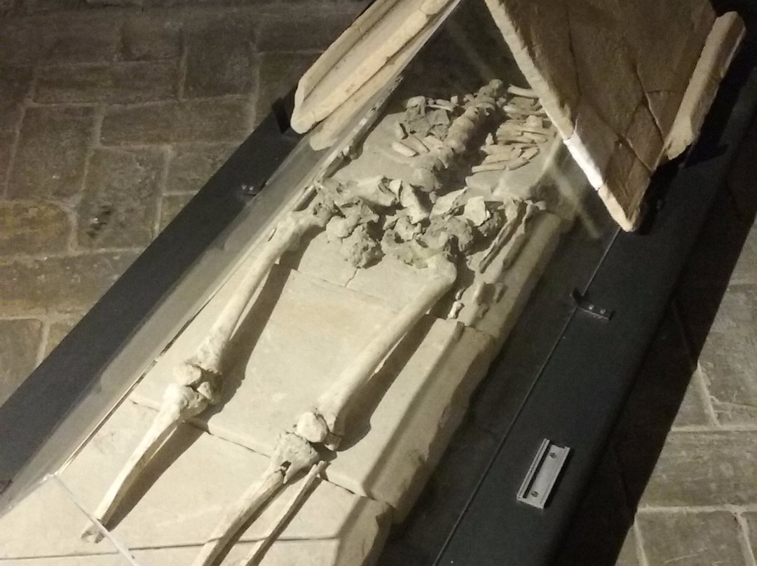 MAF - Museo Archeologico Civico Tobia Aldini-Forlimpopoli必去景点