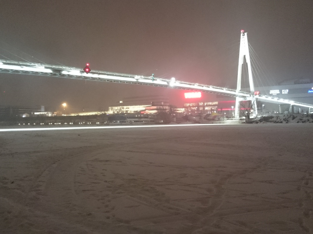 Pedestrian Bridge Pavshinskaya Poima景点图片