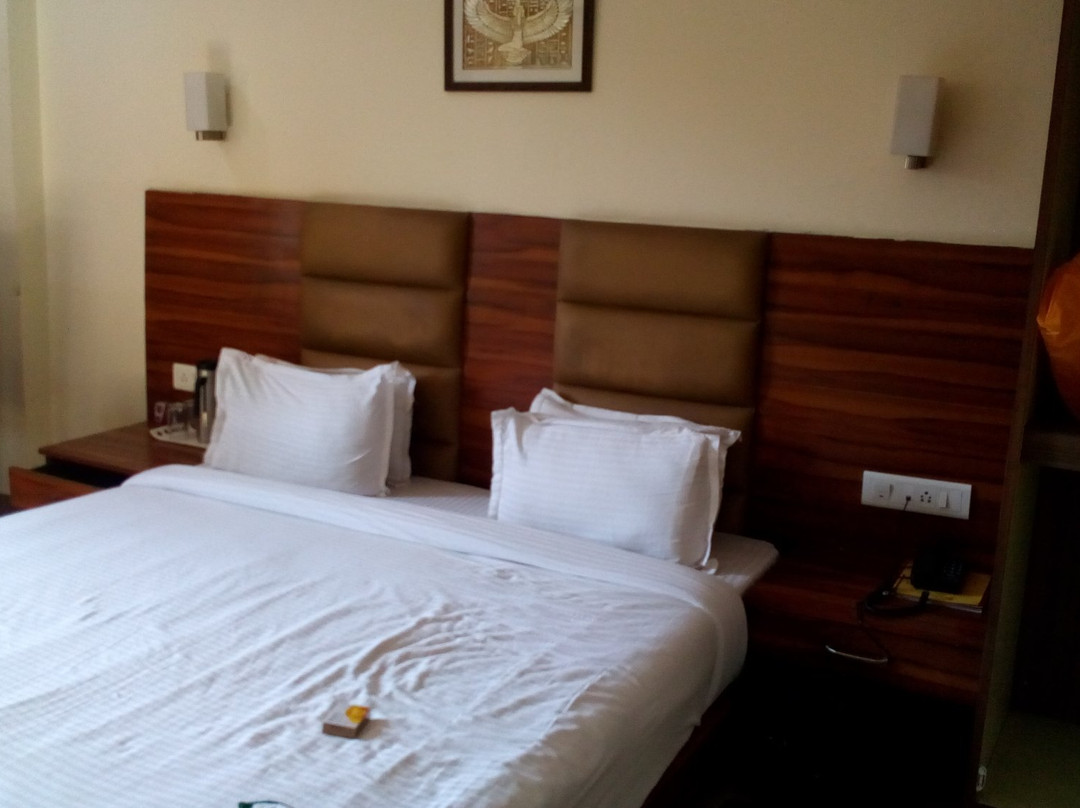 Birgoan酒店住宿-Hotel Raipur Inn