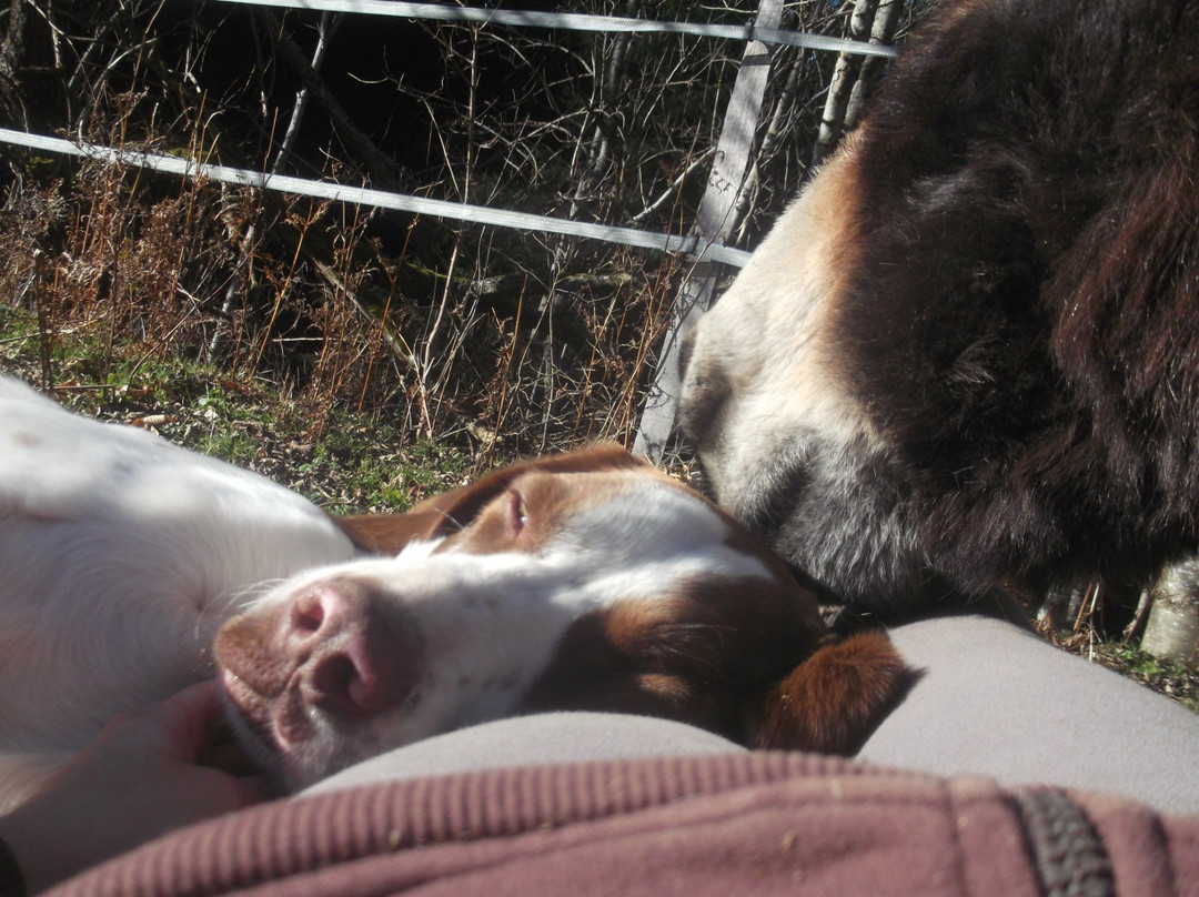 L'Ecrin de Brierat-Saint-Priest-la-Prugne必去景点