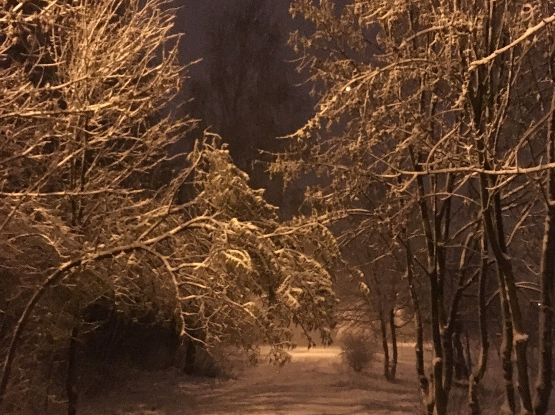 Park of Peoples Friendship-Vinnytsia必去景点