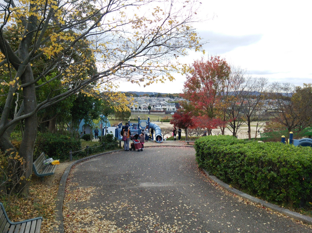 Taketori Park景点图片