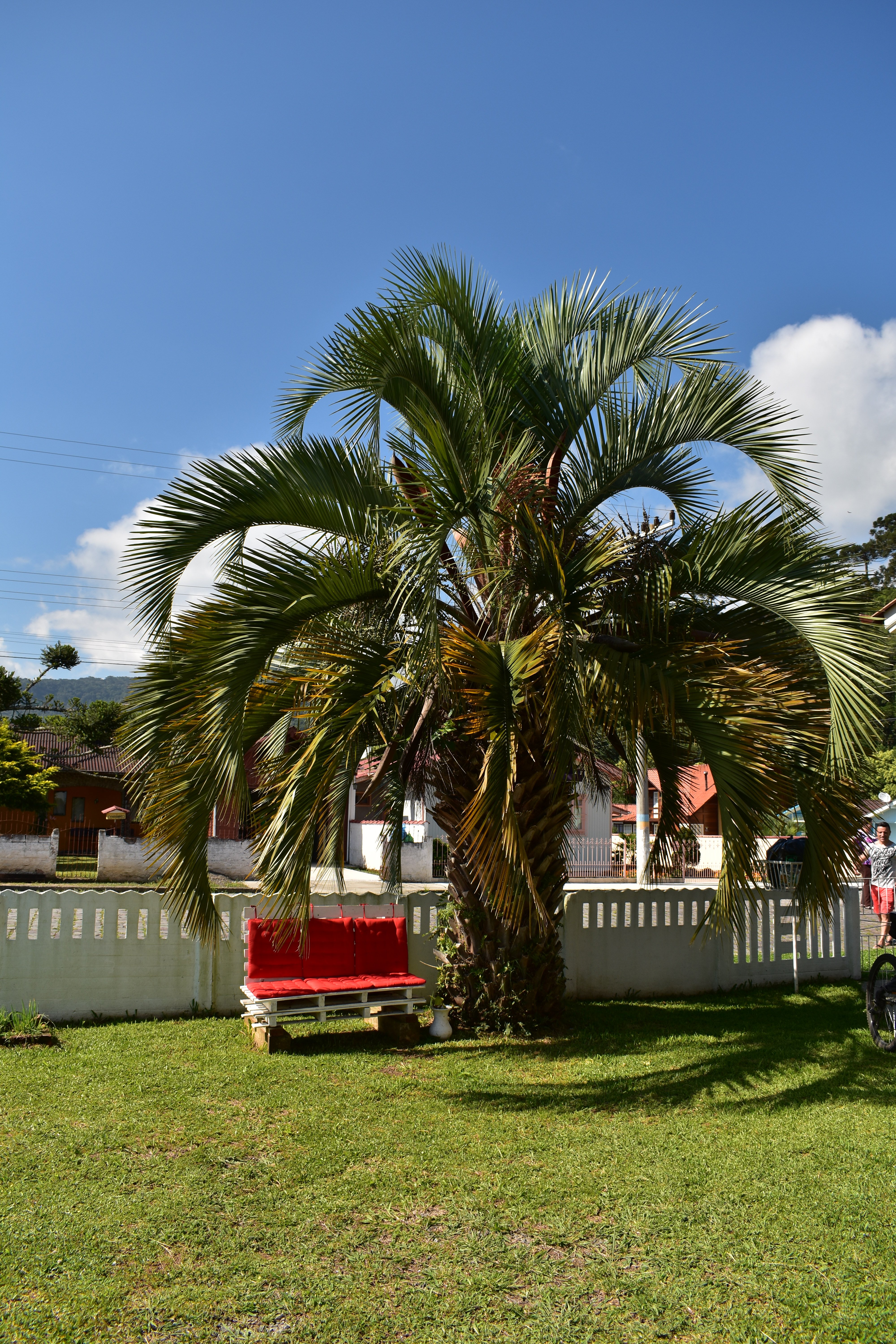 Pousada Vila Dos Butiás-酒店景观
